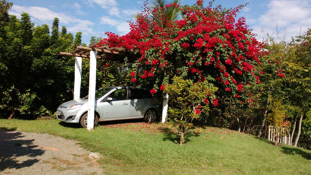 Foto - Artur Nogueira - Area Rural de Artur Nogueira